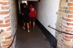 DSC03083
